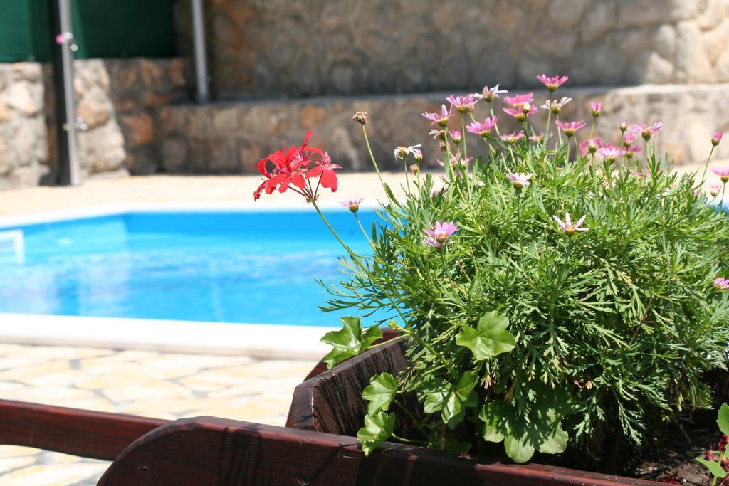 Apartments Petricic With Swimming Pool Ičići Εξωτερικό φωτογραφία